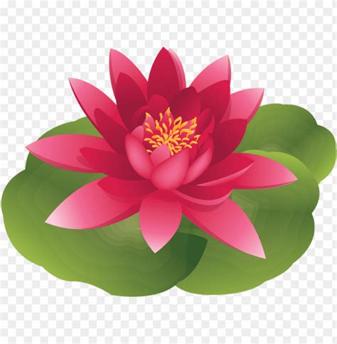 Water Lily PNG Image With Transparent Background TOPpng