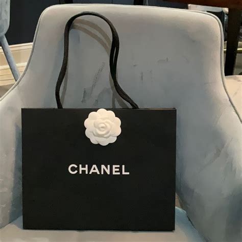 Chanel shopping bag | Chanel, Chanel handbags, Bags