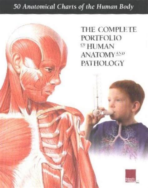 The Complete Portfolio Of Human Anatomy And Pathology Scientific