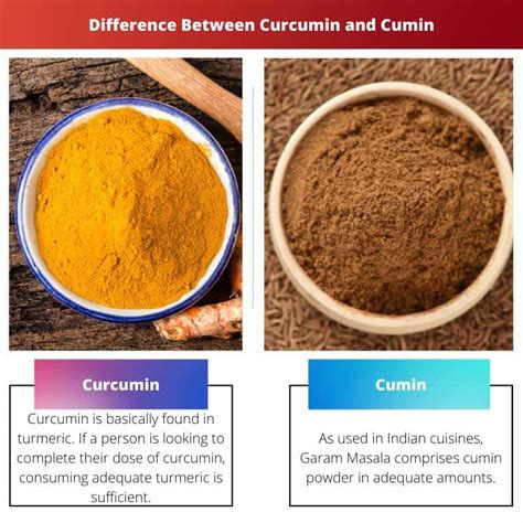 Curcumin Vs Cumin Difference And Comparison