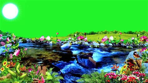 River Green Screen Green Screen Nature Background Waterfall Green Screen Flower Green