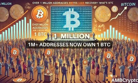 Bitcoin Over M Addresses Now Hold Btc As Market Eyes Recovery