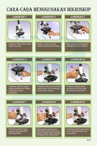 Cara Cara Menggunakan Mikroskop Progressive Scientific Sdn Bhd