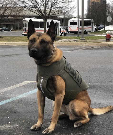 Southfield Police Departments K9 Rocco Receives Body Armor Donation