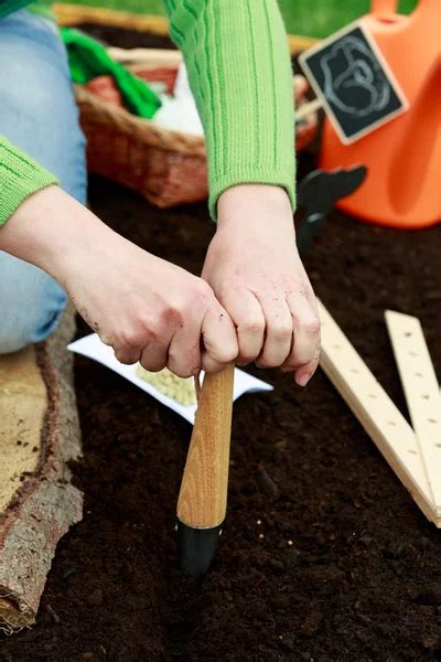 Gardening Sowing Woman Sowing Seeds Into The Soil — Stock Photo