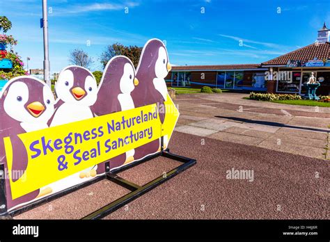 Skegness natureland seal sanctuary building exterior sign Skegness ...