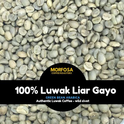 Jual GREEN BEAN KOPI LUWAK LIAR GAYO 1KG KOPI LUWAK LIAR GAYO BIJI