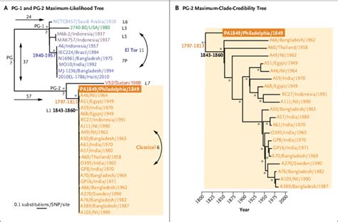 Evolutionary Analysis Of Vibrio Cholerae Panel A Shows The