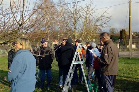 Frotey lès Vesoul Initiation à la taille des arbres fruitiers