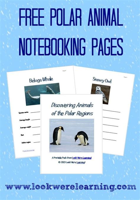 Free Polar Animal Notebooking Pages Look Were Learning Polar