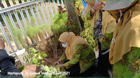 Berita Foto Gerakan Menanam Juta Pohon Memperingati Milad Ke