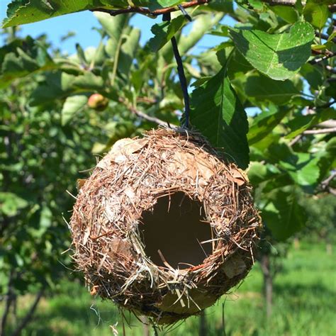 Natural Grass Bird Nest Hummingbird Birdhouse For Outside Etsy