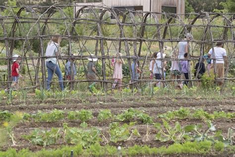 Una escuela 100 verde prepara a niños sudafricanos para los