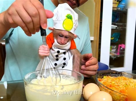 Super Chef Bibi Monkey Help Dad Cook Healthy Vegetables Cake Cake