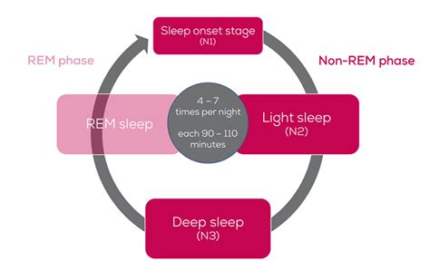 sleep phases  important     recovery