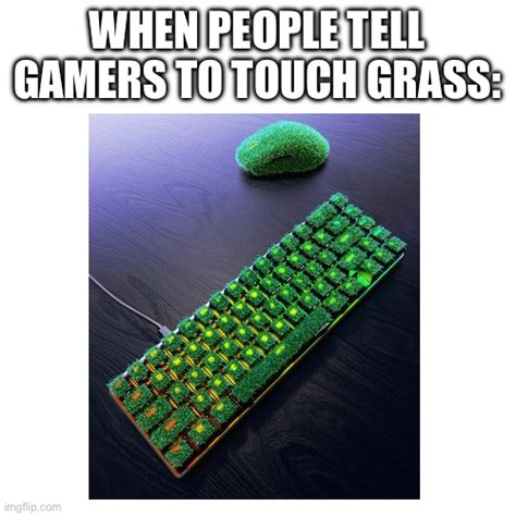 Touch Grass Imgflip