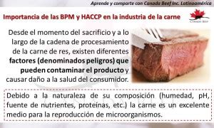 Importancia De Las Bpm Y Haccp En La Industria De La Carne Canadian Beef