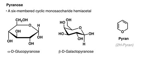 Sugar And Carbohydrate Chemistry Definitions 29 Key Terms To Know