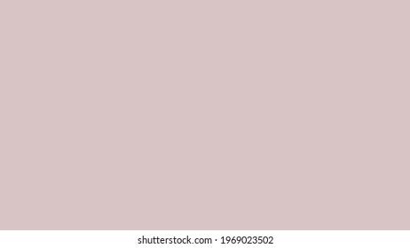 Plain Nude Rose Solid Color Background Stock Illustration