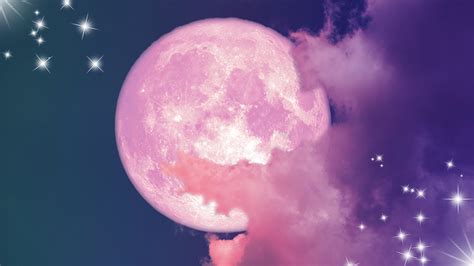 The Pink Moon - Timmy Amerson