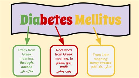 File Etymology Of Diabetes Mellitus Svg Wikimedia Commons