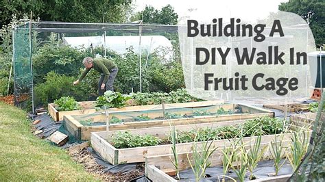 How To Build A Diy Walk In Fruit Cage Youtube