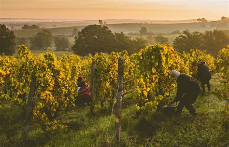 Nouvelles Intronisations La Vin E De Bergerac