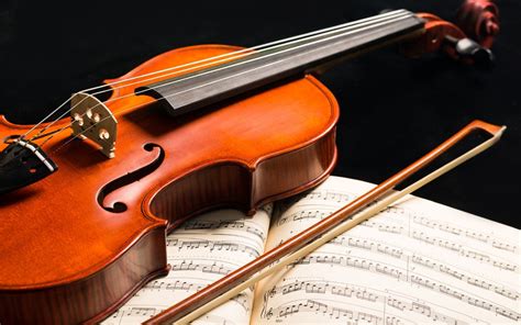 Best Beginner Violins 2021 Buyers Guide Into Strings