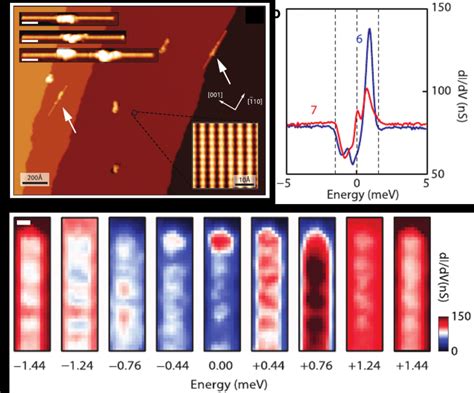 Zero Bias Conductance Peaks In Magnetic Chains On Superconducting Lead