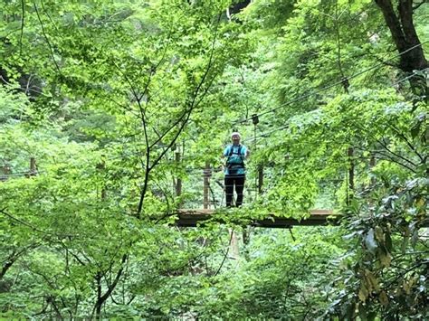 新緑の高尾山に癒される ウマ好きランナーの泣き笑い