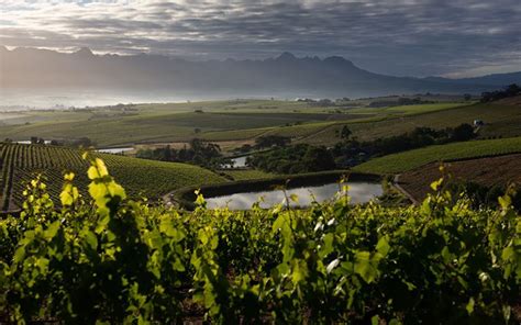 360° Vineyard Tour Of Jordan Wine Estate Jordan Wines Stellenbosch