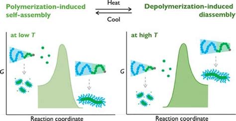 聚合与自组装耦合平衡下的聚合解聚诱导自组装journal Of The American Chemical Society X Mol