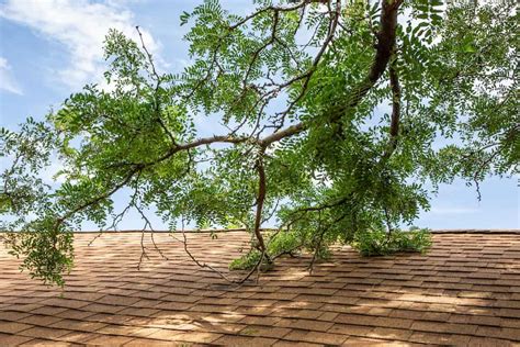 Roof Maintenance The Ultimate Guide Updated For 2022