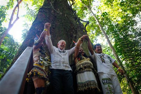 Conheça os compromissos de Lula o meio ambiente Vegazeta