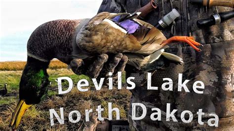 North Dakota Duck Hunting Youtube