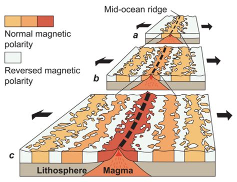 Magnetic Evidence For Seafloor Spreading Read Earth Science Ck