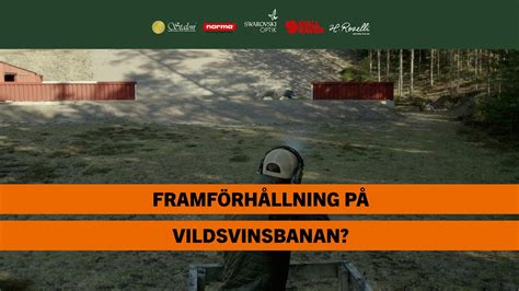 Vilken framförhållning ska man ha på vildsvinsbanan BRA JAKT YouTube