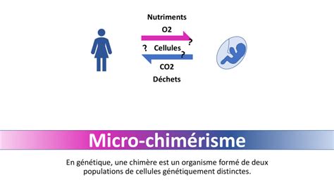 microchimérisme