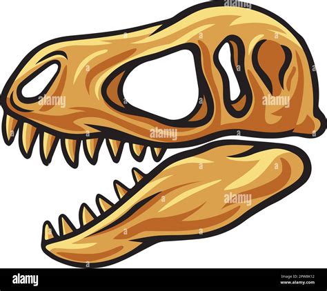 Tyrannosaurus Rex Esqueleto De Dinosaurio Imágenes Vectoriales De Stock Página 2 Alamy