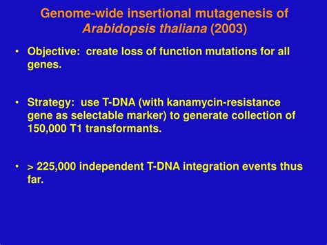 Ppt T Dna Mutagenesis Powerpoint Presentation Free Download Id262221