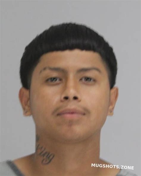 Hernandez Hector 03 17 2023 Dallas County Mugshots Zone