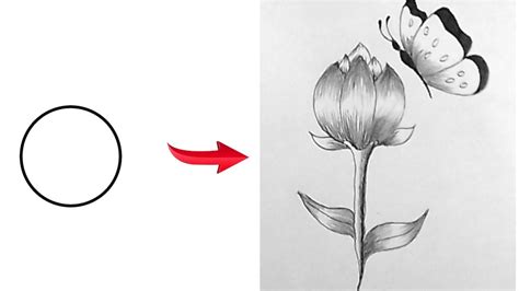 How To Draw A Butterfly On A Flower Step By Step How To Draw A Rose