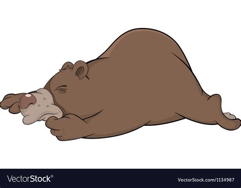 Brown Bear Royalty Free Vector Image Vectorstock