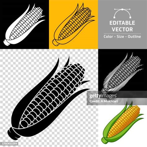 229 Kernel Of Corn Drawing Stock Photos, High-Res Pictures, and Images ...