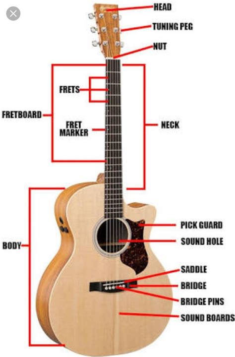 Name The Parts Of Guitar