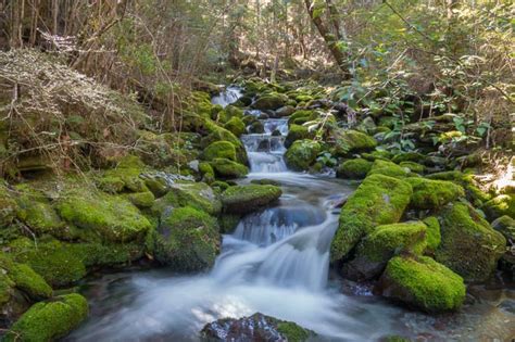 Wasserfall Fotografieren Ohne Graufilter Mit Schleier Effekt Tipps Und