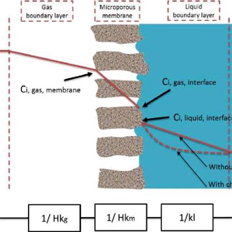 Mass Transfer Regions And Resistance In Series In Non Wetted Membrane