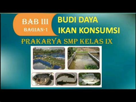 Pembelajaran Prakarya Kelas Ix Bab Iii Budidaya Ikan Konsumsi Part