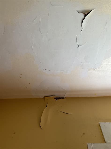 Peeling Ceilings : r/Home