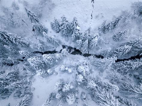 Top View Of Winter Mountain River Surrounded By Trees And Banks Stock